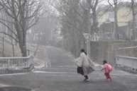 「雪が降ってきた－早く早く」　橋本 豪也	（一般応募）